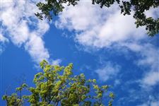 114亿砸向1.9GW！300亿国企拟建五大光伏项目